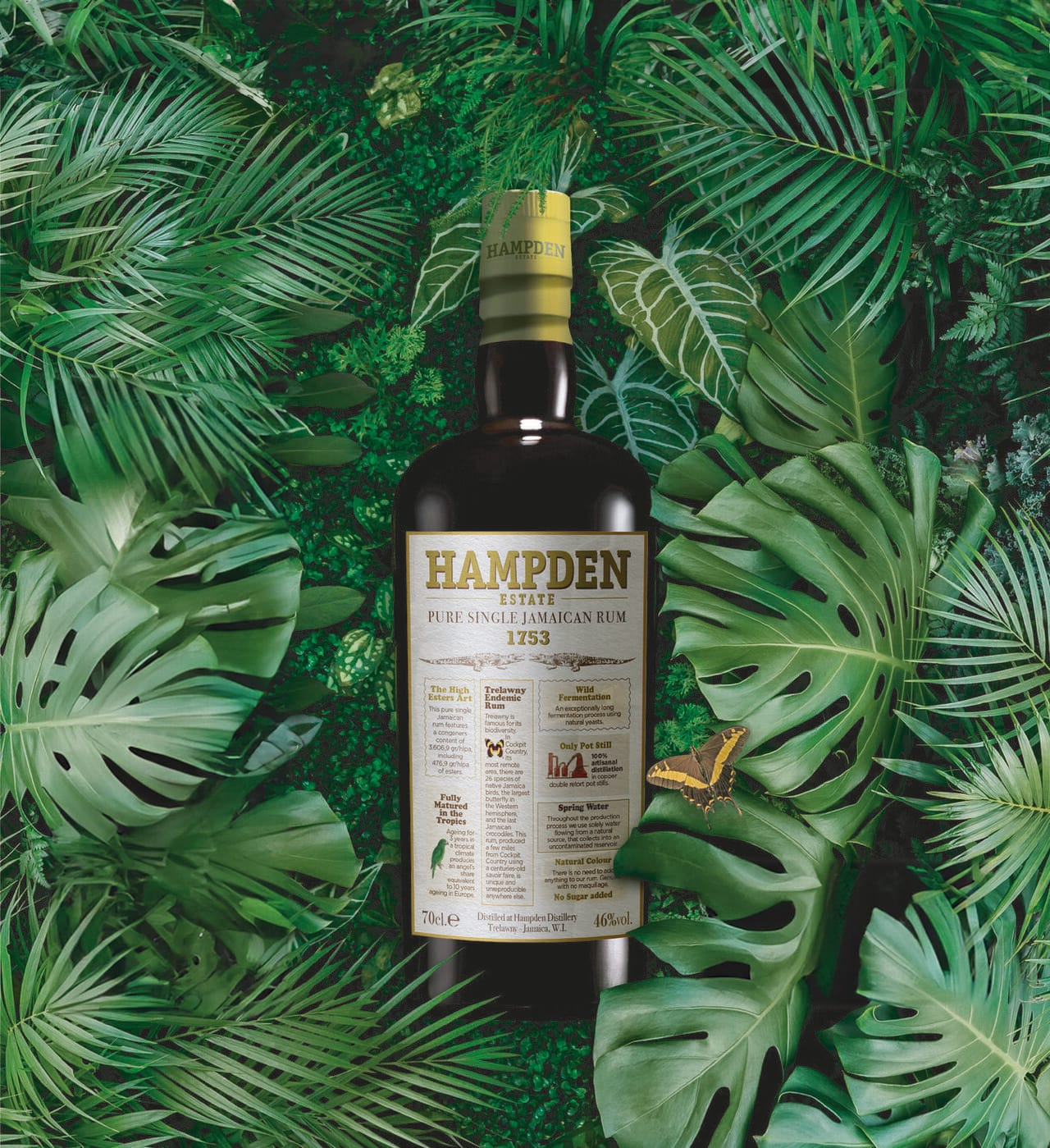 Rhum Hampden Estate