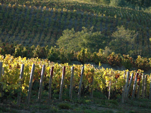 Beaujolais