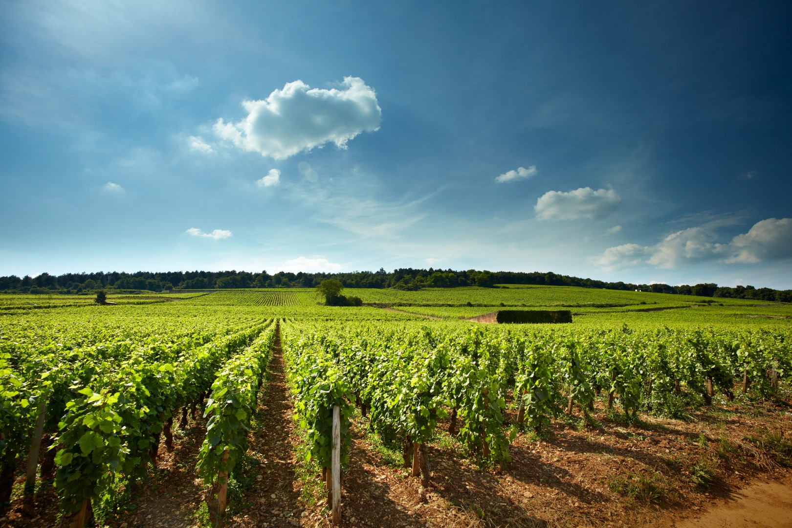 Bourgogne