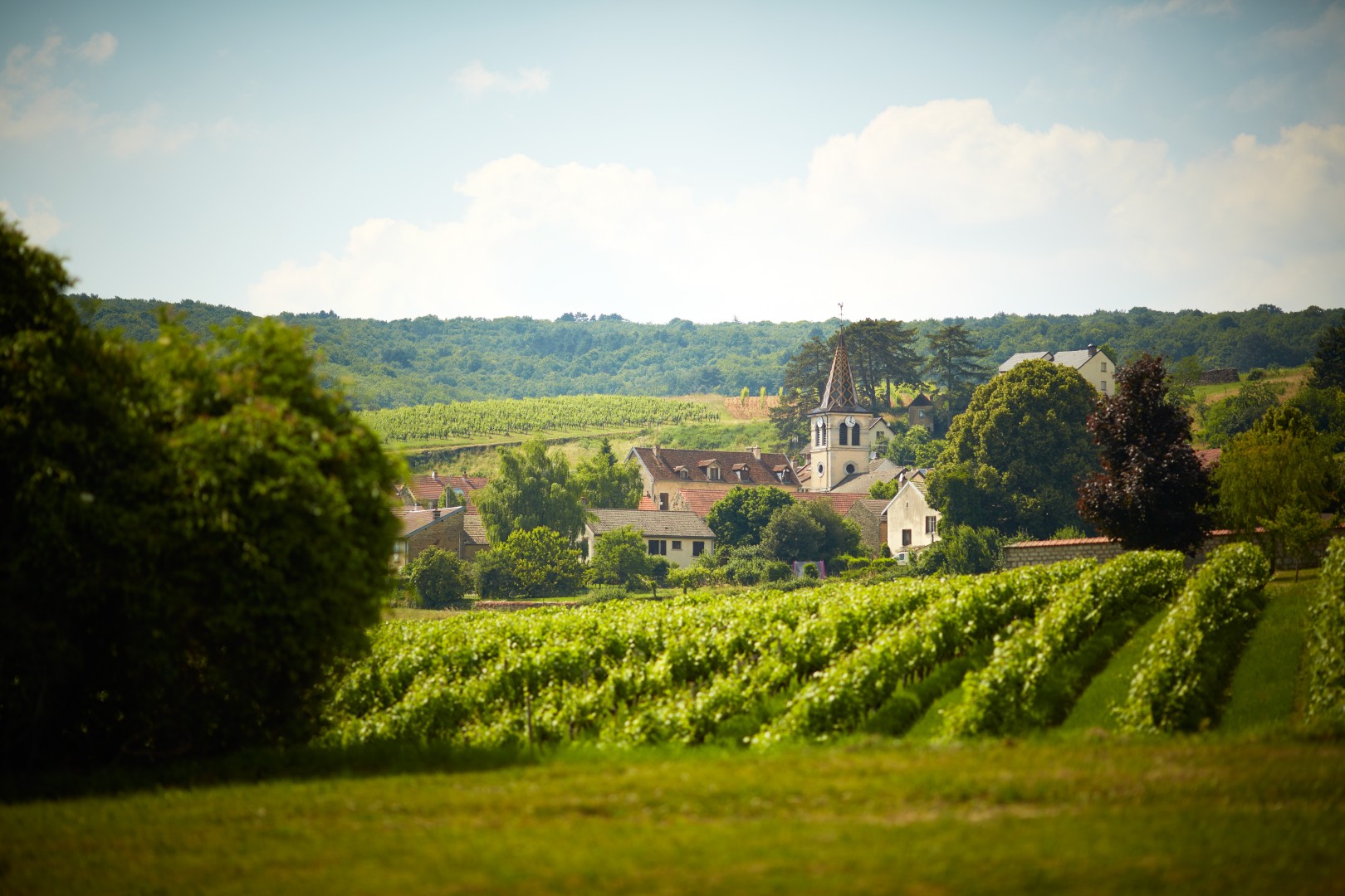 Bourgogne