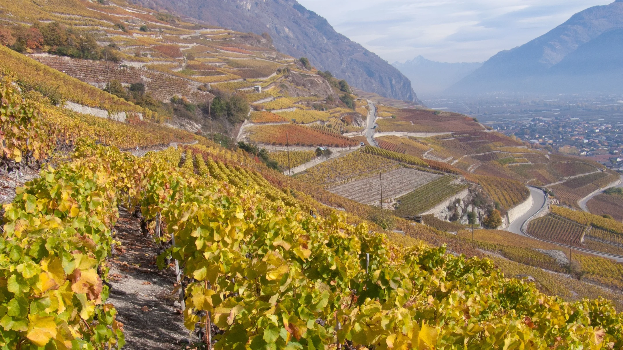 Suisse