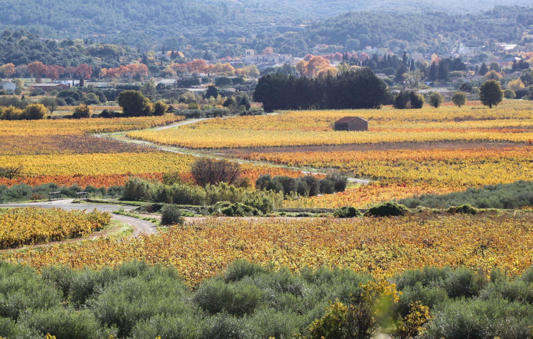 Languedoc
