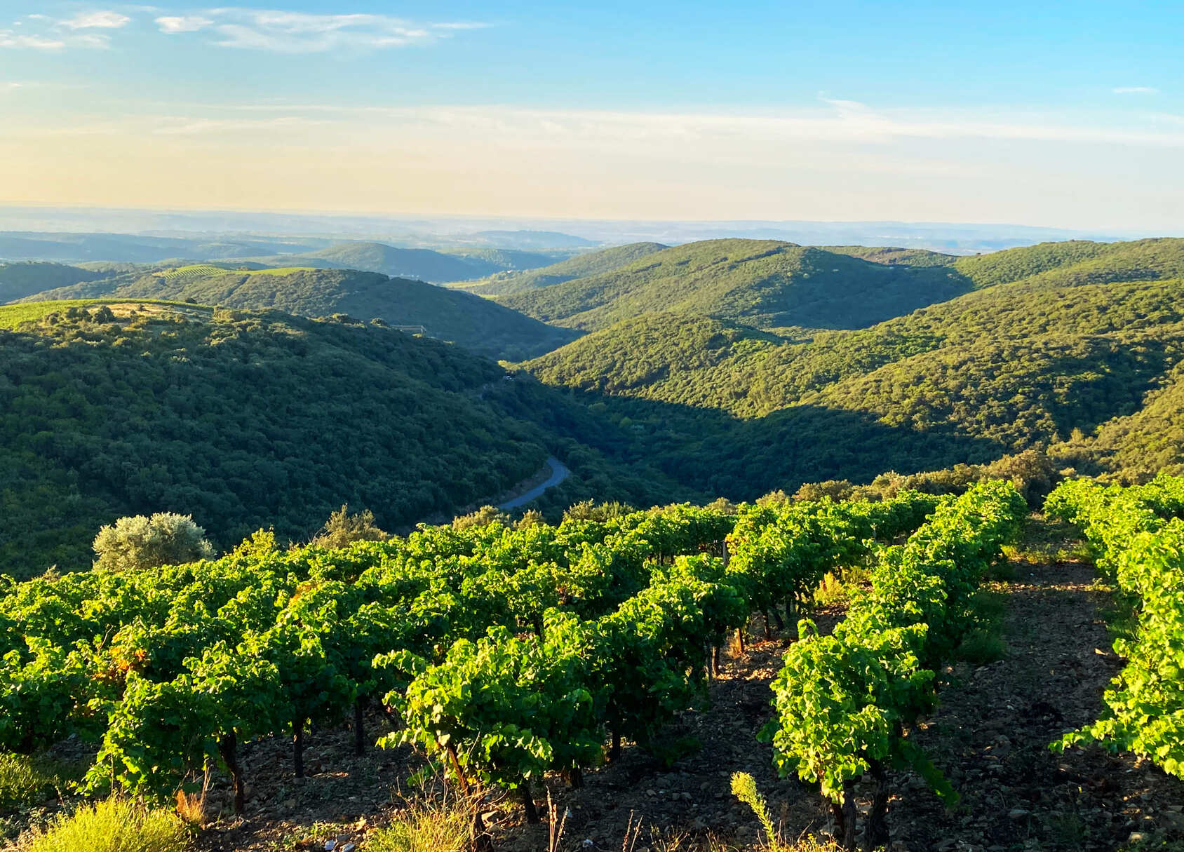 Languedoc