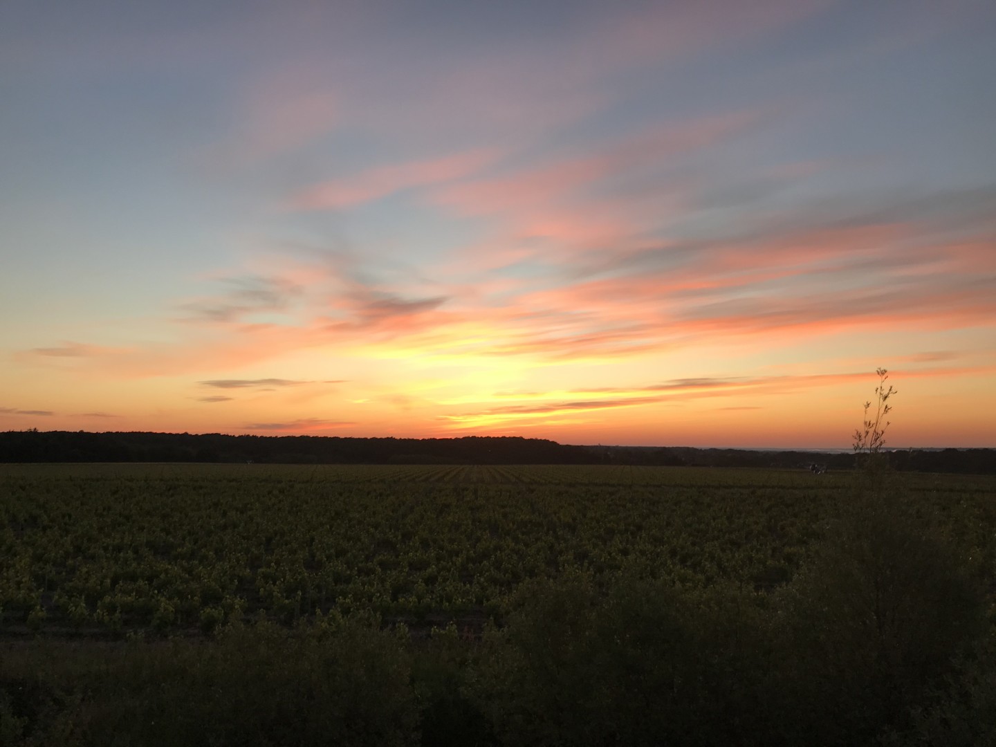 Vallée de la Loire