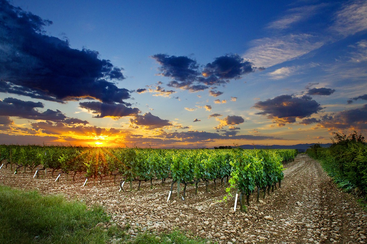 Vallée du Rhône