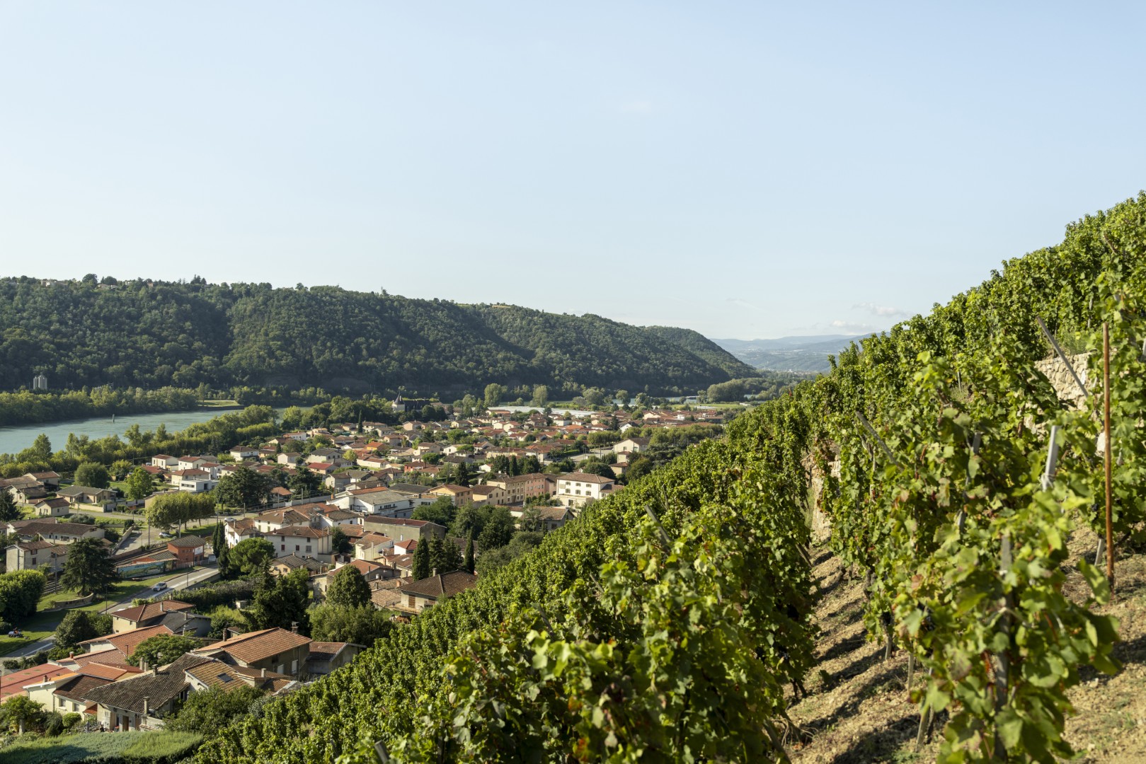 Vallée du Rhône