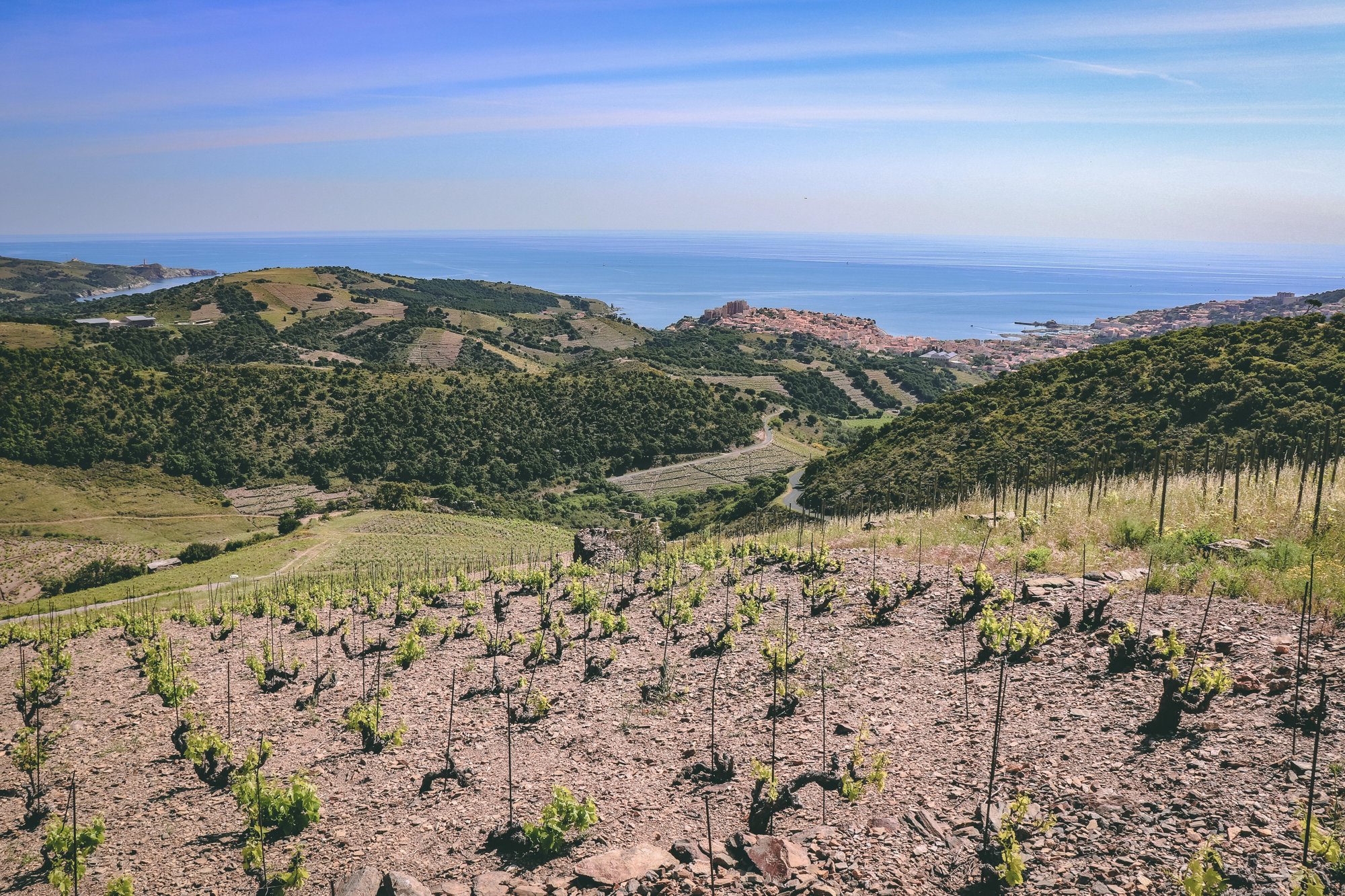 Roussillon
