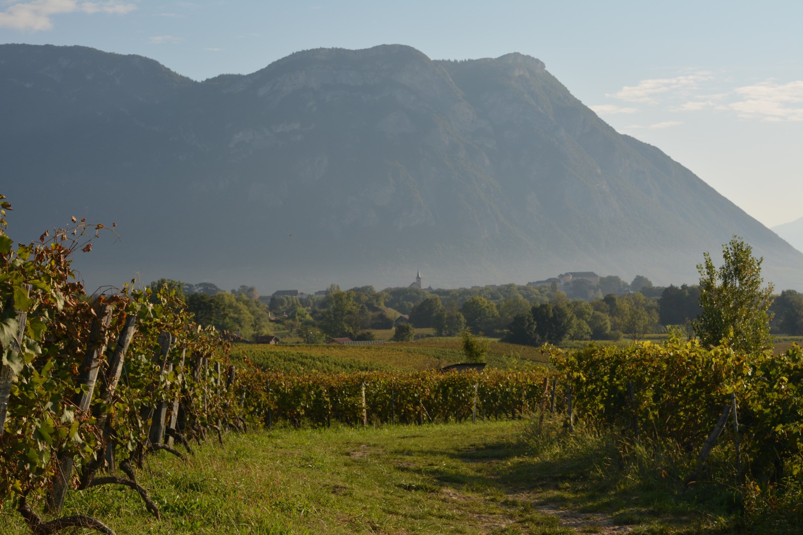 Savoie